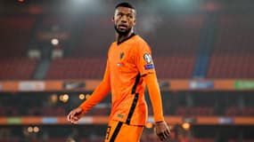 Georginio Wijnaldum avec les Pays-Bas, à Rotterdam le 16 novembre 2021