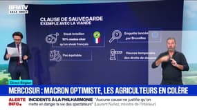 Agriculture: Emmanuel Macron se montre "positif" sur la signature de l'accord entre l'Union européenne et le Mercosur après la négociation de clauses de sauvegarde