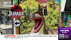 "Mini World": sauriez-vous dénicher tous les dinosaures cachés dans les paysages varois ?