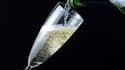 Retrouvez ci-dessous la sélection Champagne de Jacques Dupont.