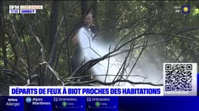 Alpes-Maritimes: 3500 m2 brûlés à Biot, l'incendie est maîtrisé