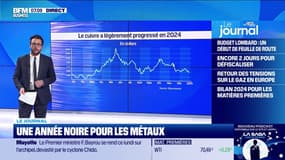 Bilan 2024 pour les matières premières