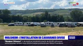 Molsheim: 200 caravanes installées sur un terrain agricole, la mairie vent debout