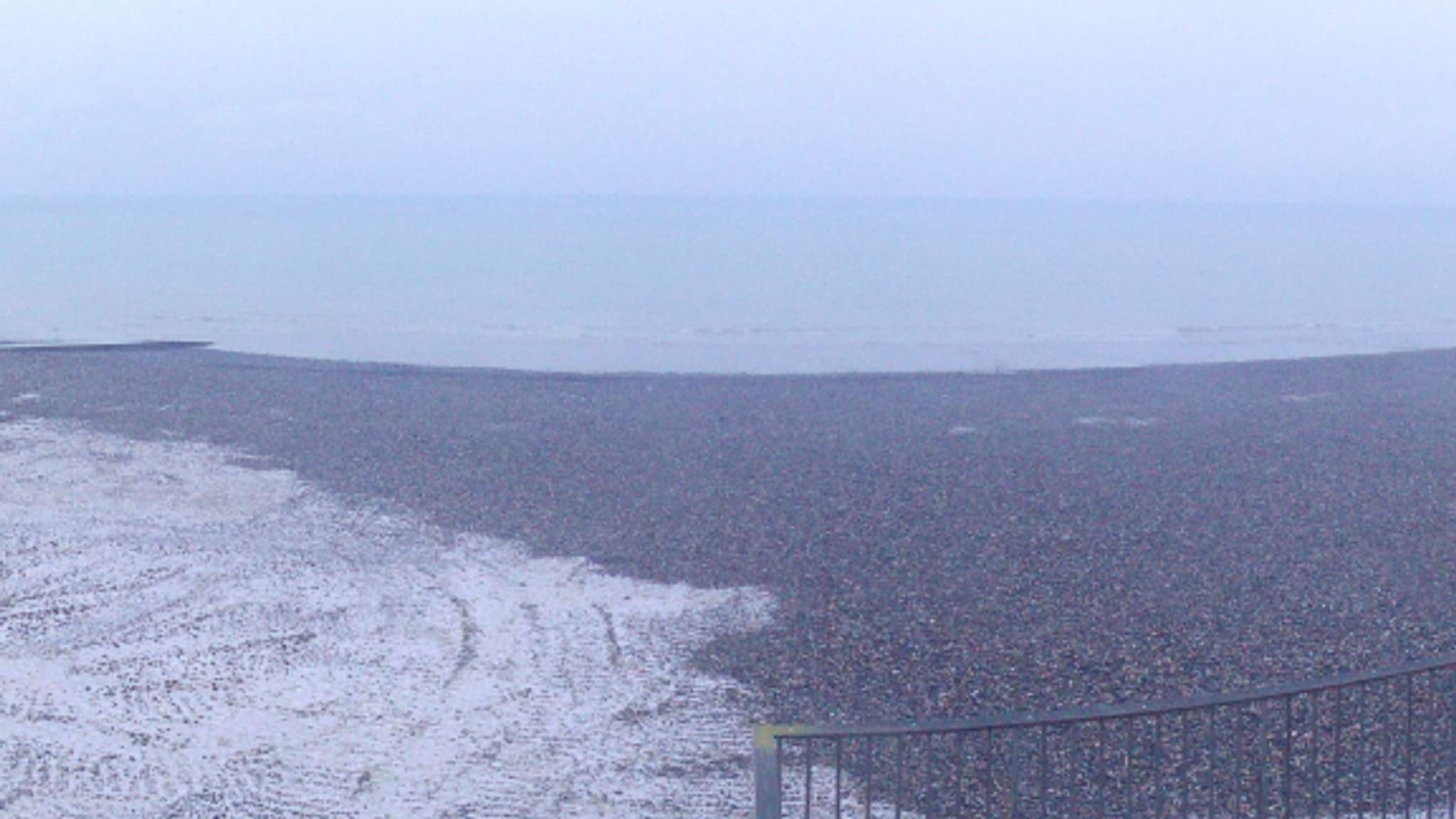 La neige est tombée le 17 janvier 2024 sur la plage de Mer-les-Bains en plein épisode neigeux sur le nord du pays.