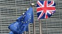 De plus en plus de Britanniques font les démarches pour obtenir le passeport d'un pays de l'UE