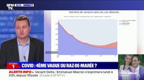 Guillaume Rozier: "Le variant Delta sera majoritaire dans les prochains jours"