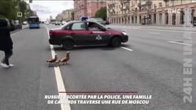 Quand la police russe escorte... un couple de canards