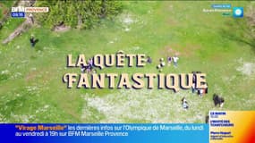  "La Quête Fantastique" - Jeu de piste géant ce week-end à Salon-de-Provence & Aix-en-Provence