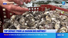 Normandie: le nouveau protocole sanitaire pour les ostréiculteurs 