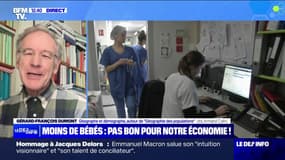 Gérard-François Dumont, géographe et démographe, sur la baisse de natalité en France: "La création de richesse en France est dépendante de la population active"