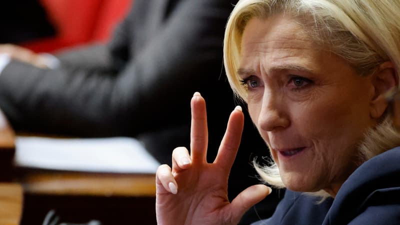 Marine Le Pen lors d'une séance de questions au gouvernement à l'Assemblée nationale française, à Paris, le 14 novembre 2023.