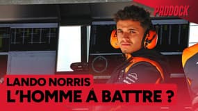 Formule 1 : Norris, l'homme à battre en 2025 ? (Paddock)