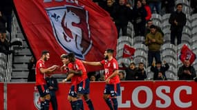 Le public du LOSC