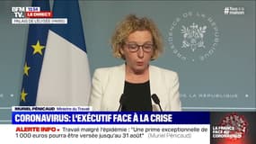 Muriel Pénicaud (ministre du Travail): "337.000 entreprises ont fait une demande de chômage partiel pour 3,6 millions de salariés" 