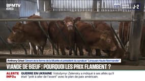 Le prix de la viande bovine explose, +20% en un an