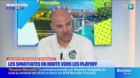 "La meilleure version de nous-mêmes": les Spartiates en route pour les playoff de la Ligue Magnus face à Bordeaux