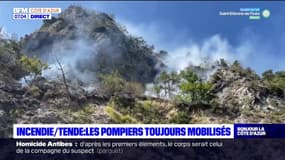 Alpes-Maritimes: les pompiers mobilisés sur un incendie à Tende