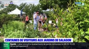  Mane: des centaines de visiteurs aux jardins de Salagon
