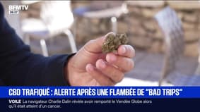 "Je me sens décoller d'une manière phénoménale": alerte après une flambée de "bad trips" liée à du CBD trafiqué 
