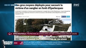 "Un sanglier l'a percuté violemment, le bousculant et lui causant des plaies aux jambes": un rabatteur blessé par un sanglier dans le Pas-de-Calais