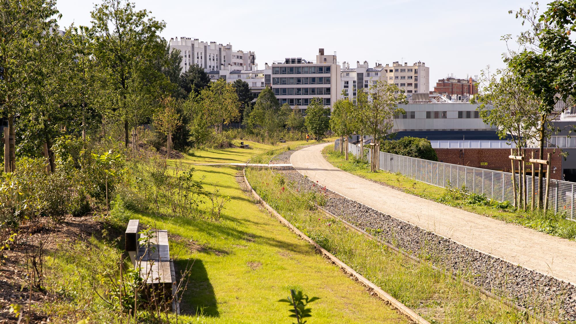 La forêt urbaine du quartier de Charonne.
