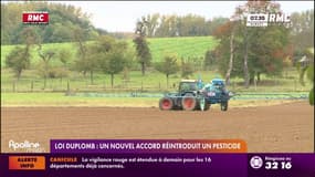 Loi Duplomb: feu vert parlementaire, avec le retour d'un pesticide interdit 