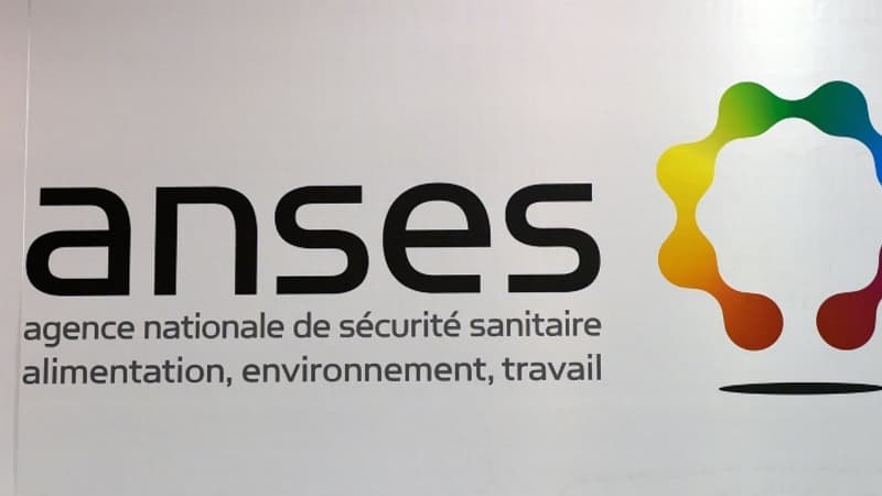 Cadmium, mercure ou plomb dans l'alimentation: l'Anses relève une exposition "toujours préoccupante" des Français