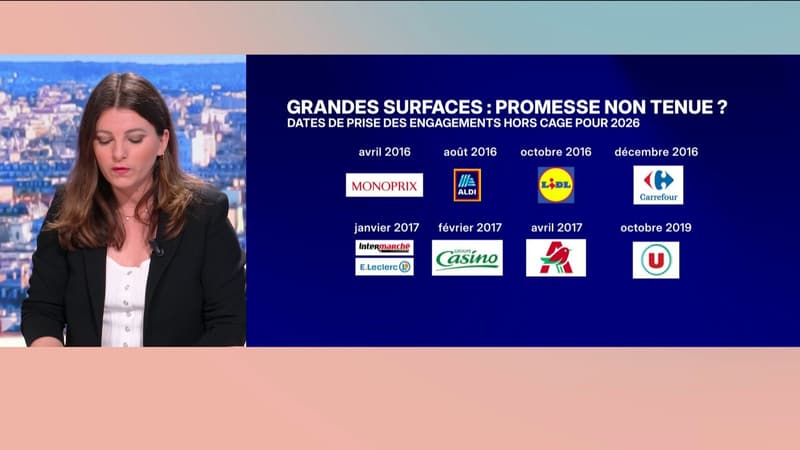 LE CONSEIL CONSO - 7 supermarchés sur 10 vendent encore des œufs de poules élevées en cage