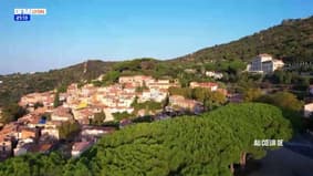 Au Cœur de Bormes les Mimosas