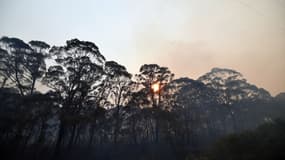 De la fumée d'un feu de brousse s'élève dans le ciel, à Dargan en Australie, le 18 décembre 2019