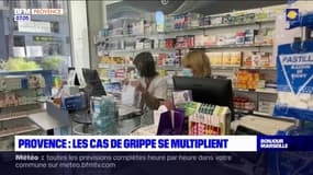 Provence: les cas de grippe se multiplient