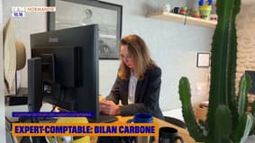 Expert d'ici : Expert-comptable, bilan carbone