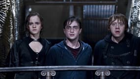 Image du film "Harry Potter et les reliques de la mort: 2e partie".