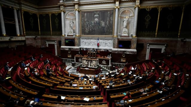 Les députés ont à nouveau adopté dans la nuit de vendredi à samedi le texte ouvrant la PMA à toutes les femmes