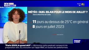 Nord: des températures basses mais un été dans la norme