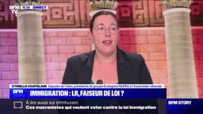 Projet de loi immigration: "On n'est pas face à un compromis, on est face à une capitulation de la majorité", estime la députée écologiste Cyrielle Chatelain