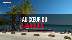 Au Cœur du Lavandou
