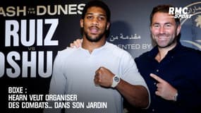 Boxe : Hearn veut organiser des combats... dans son jardin 