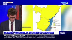 Sécheresse dans le Bas-Rhin: plusieurs cours d'eau placés en alerte