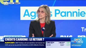 Crédits carbone : le retour ?