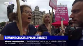 Royaume-Uni: vers un Brexit dur ou un nouveau vote?