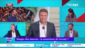 La Minute Conso : Manger des insectes, la nourriture de l'avenir ? - 02/05
