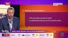 On n'a pas osé vous en parler : Le jour où il y a plus de morts selon l'Insee - 01/11