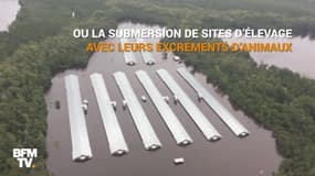 Après l'ouragan Florence, les autorités craignent une contamination de l’eau par des bactéries 