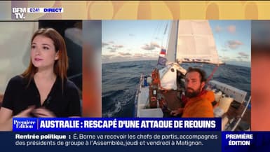 Embarqué sur un bateau attaqué par des requins, un Français raconte son sauvetage en Australie