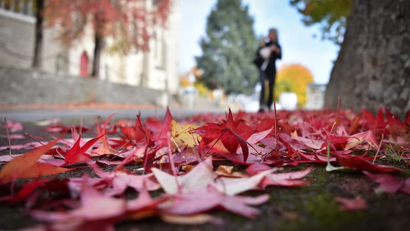 Des feuilles mortes devant l'église Sainte-Bernadette à Orvault, en Loire-Atlantique, le 18 octobre 2022