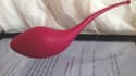 Ce sex-toy inventé par B-Sensory vibre au fil de la lecture des livres édités par la startup grâce à la magie du Bluetooth.