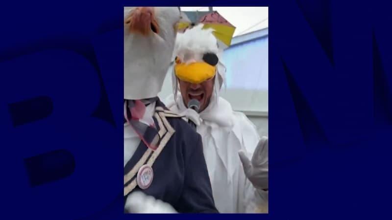 "Johnny Carlimouette": les Youtubeurs McFly et Carlito démasqués au championnat du monde du cri de la mouette