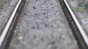 Le déraillement d'un train de marchandises samedi matin à Labouheyre, dans les Landes, a provoqué d'importants retards sur les rails dans le Sud-Ouest. En ce jour de départs en vacances de Pâques pour la zone C (Paris, Bordeaux, Créteil, Versailles), les