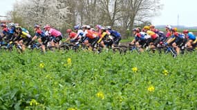 Paris-Roubaix